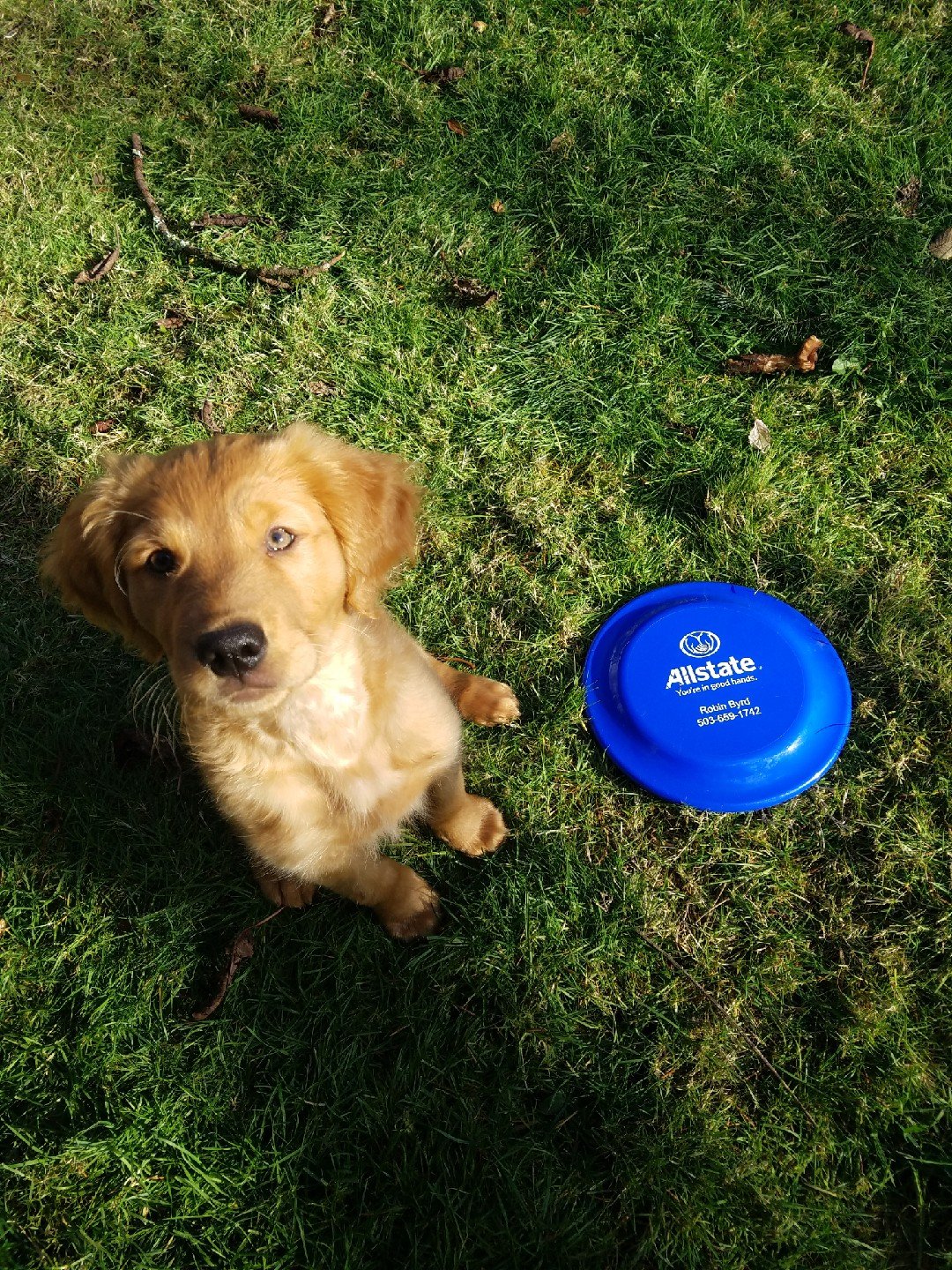 Finn at 3 mths.