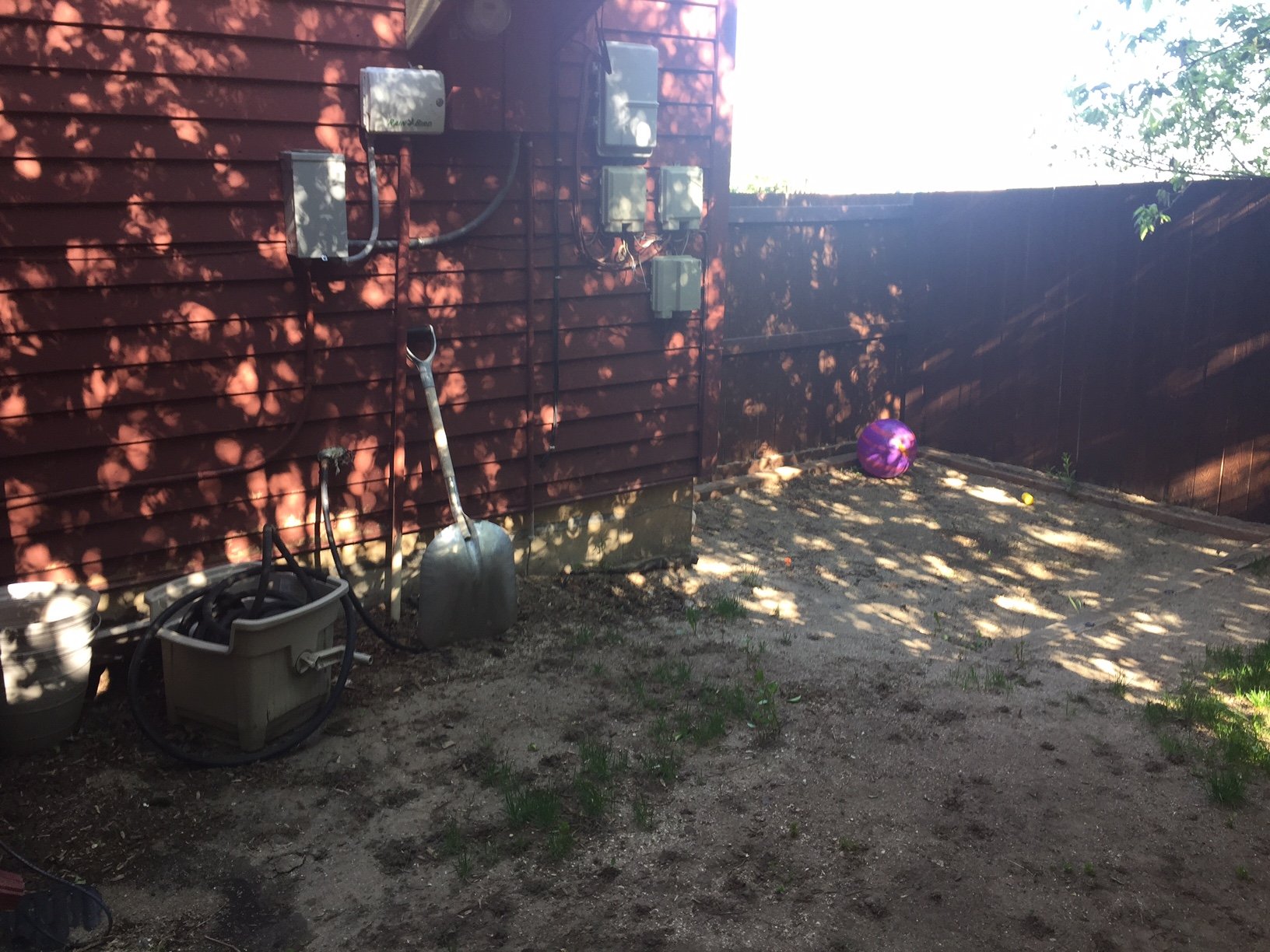Our Lions project to dress up the back yard of the Peace House domestic abuse shelter.