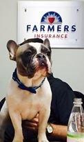 Photo of Frank the Tank