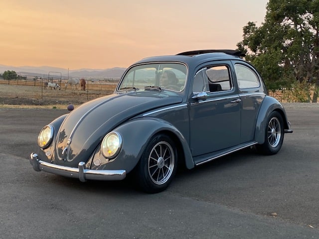 Fun times in this 1962 Beetle.