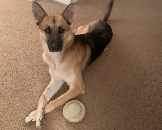 Rey is looking really photogenetic.