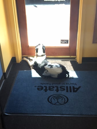 Photo of agent