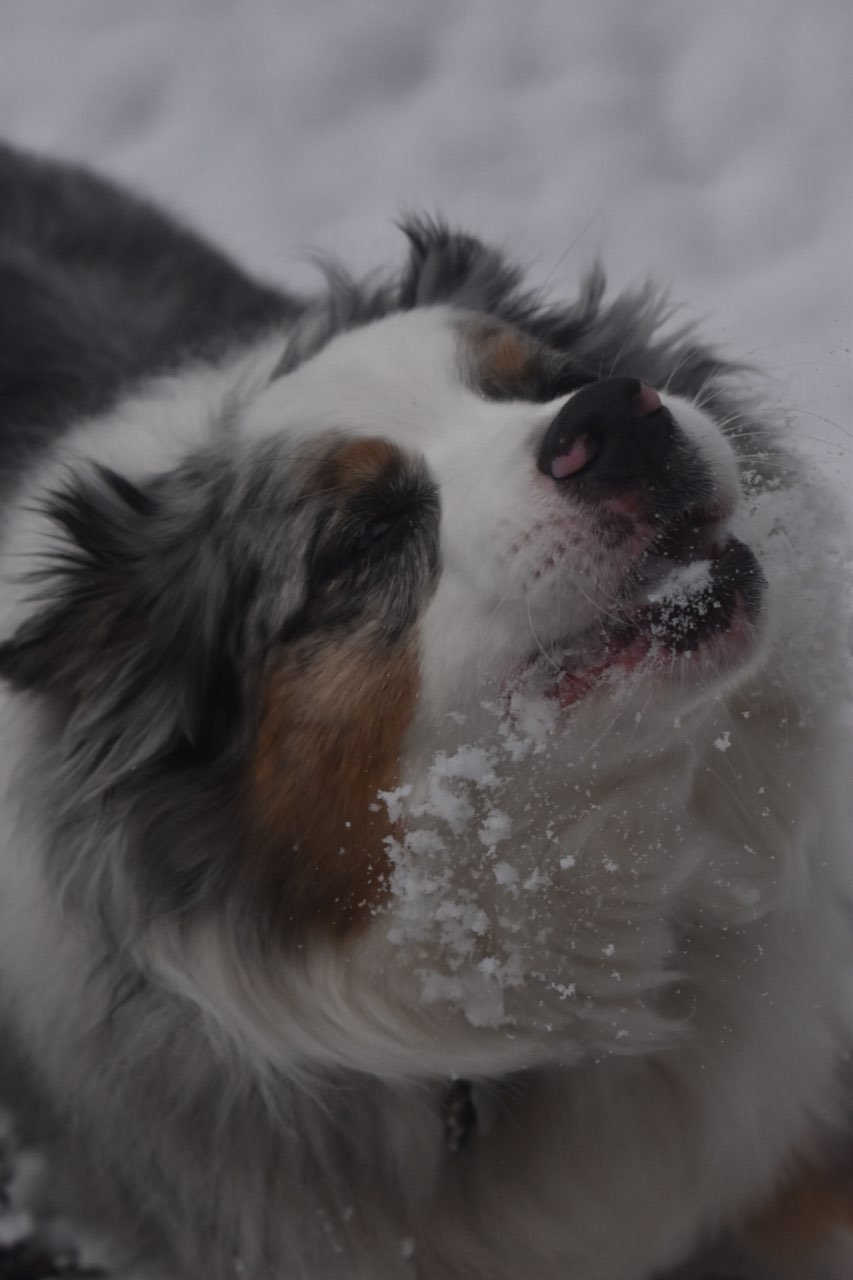 Cooper 2018 photos by Kate Byrd
