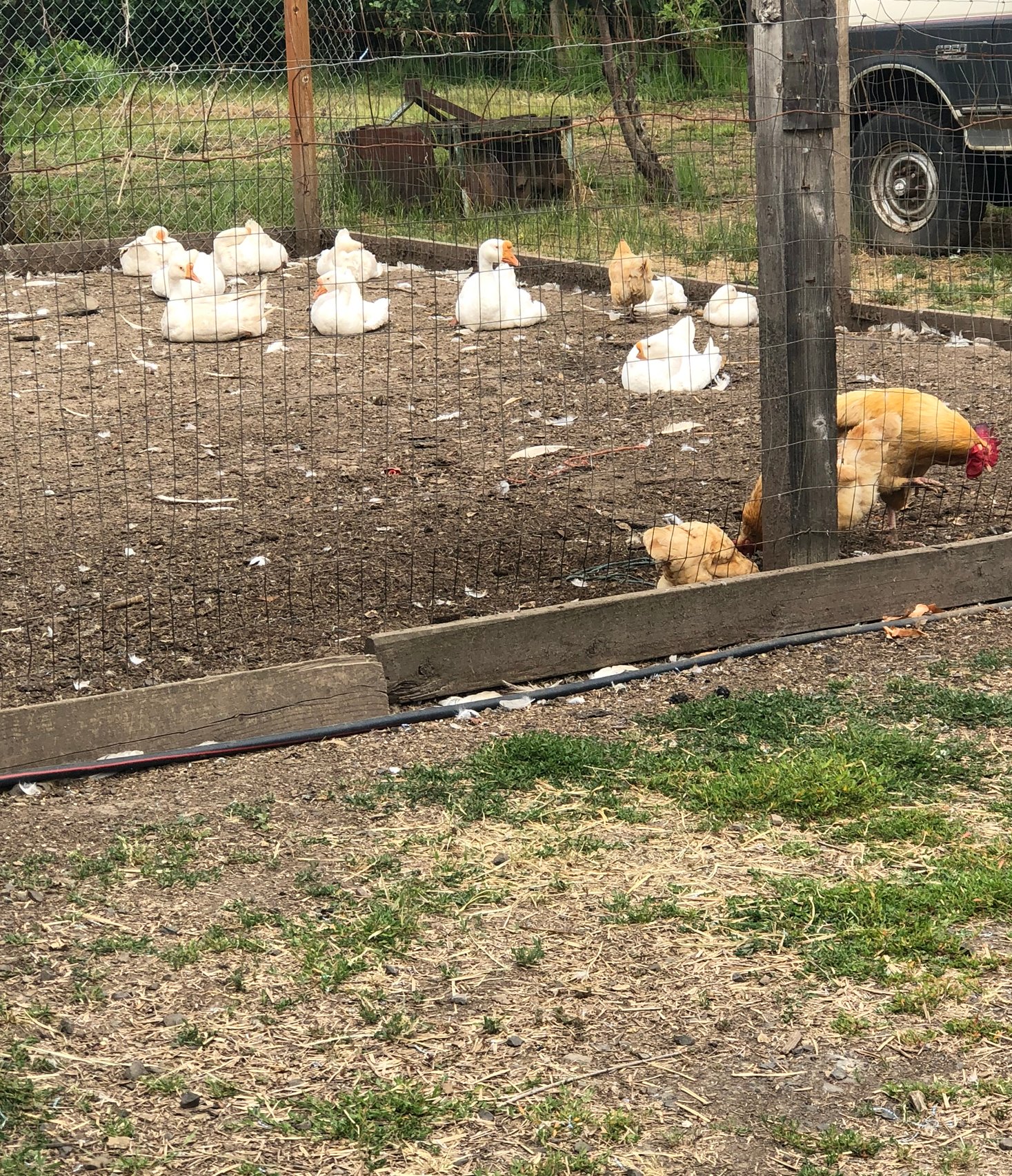 Saving for the future…one egg at a time.