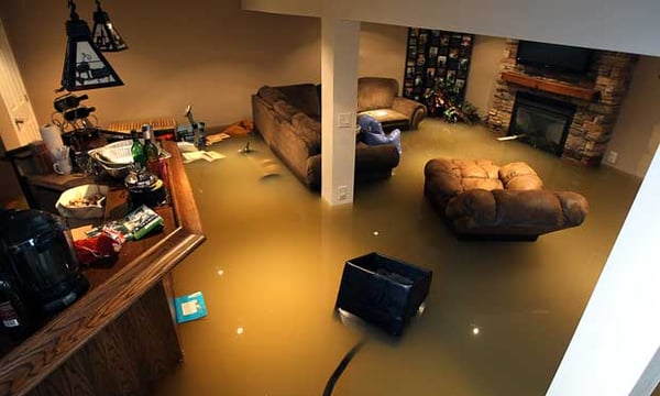 What to Do When Your Basement Floods