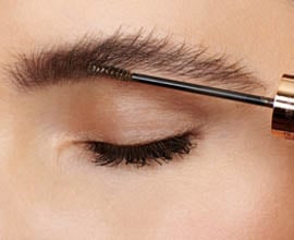 Image of Charlotte’s School of Browformation