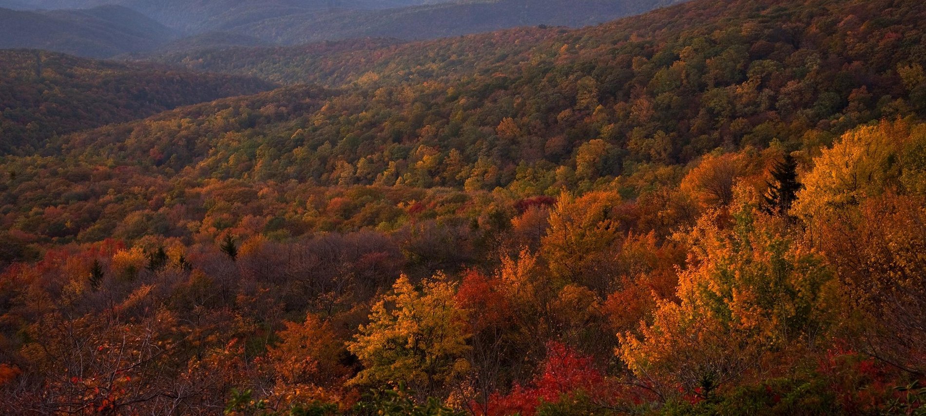 Hero Background Image