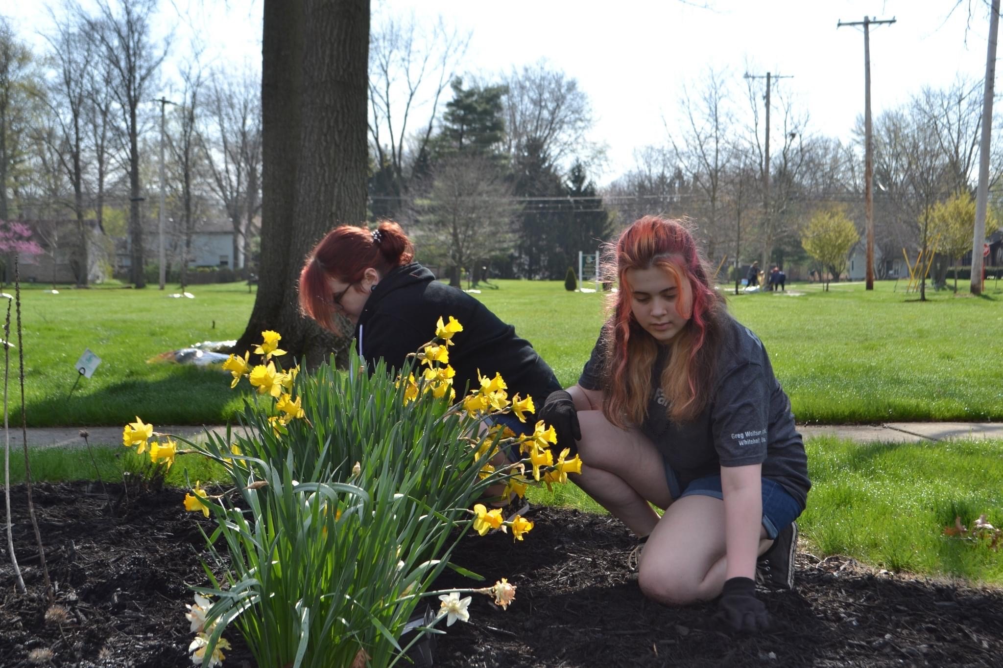 Community Beautification in Whitehall, Ohio