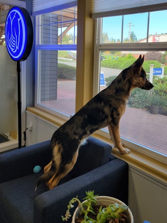 Photo of agent