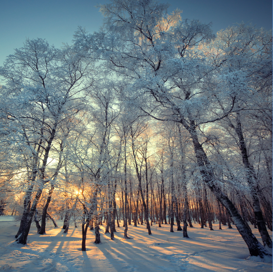 Hero Background Image