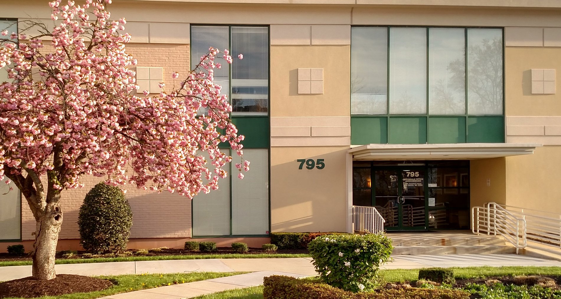 Our office