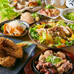 『鶏々コース』2時間飲み放題!!鶏のおいしさを堪能♪京赤地鶏の炙り焼き付コース【8品3280円】