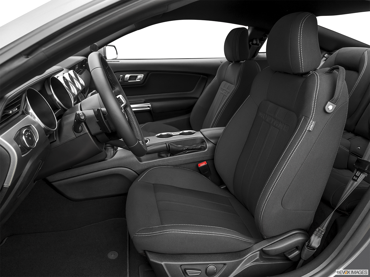 Image of Vehicle Trim