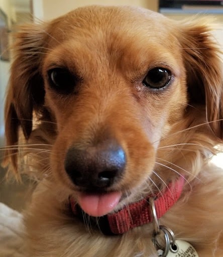 The look on Cali's face when she found out you have insurance on your cell phone but no life insurance to protect your family.