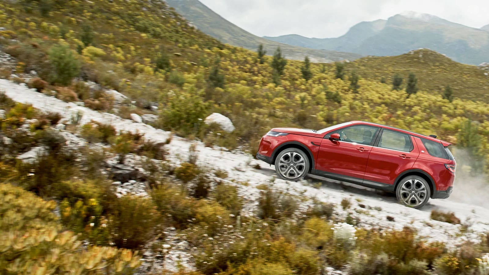 OFERTA DISCOVERY SPORT
