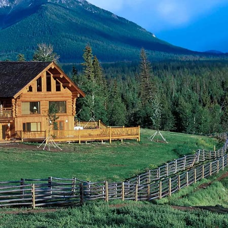 A cabin on property looking over the forest