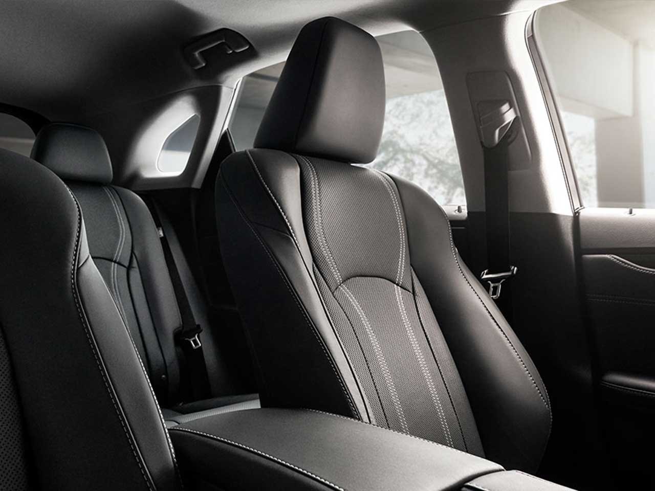 Image of Vehicle Trim