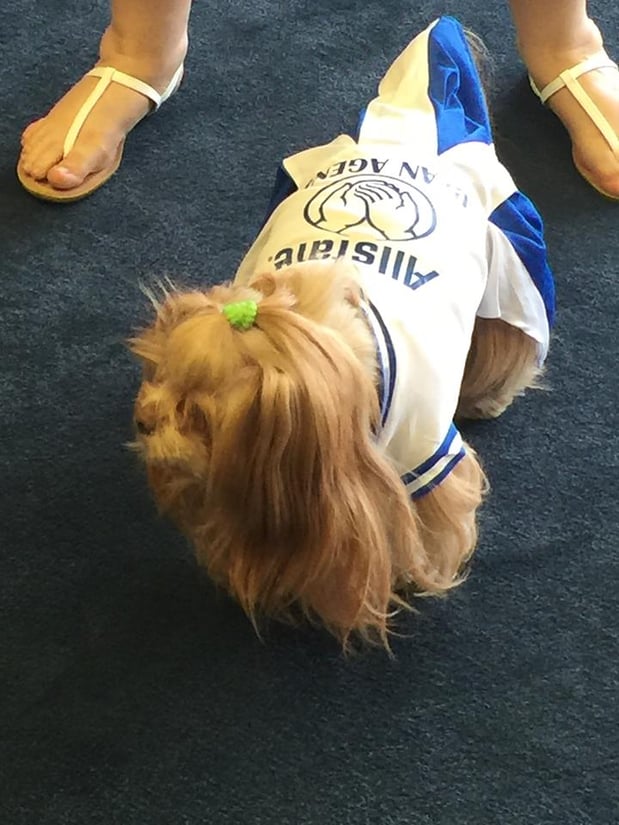 The Dean Agency Mascot came by for a visit.