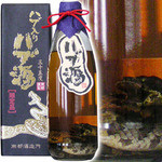 ハブ酒