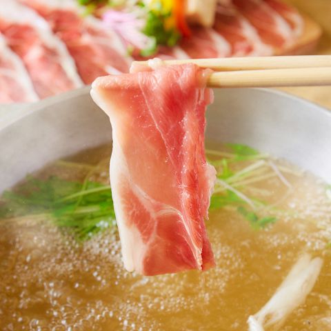 当店大人気☆アグー豚のしゃぶしゃぶ