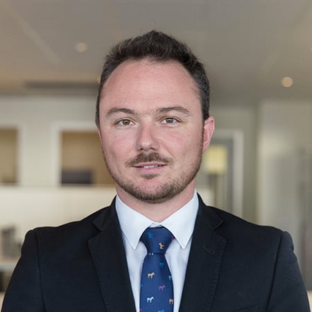 DAVID WYLIE's headshot