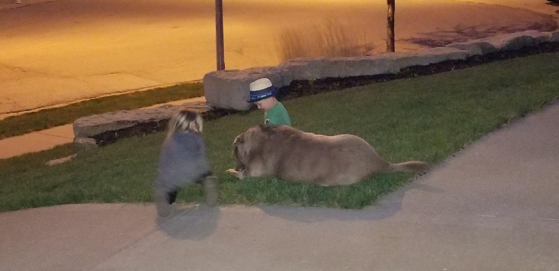 Hank and his little friends