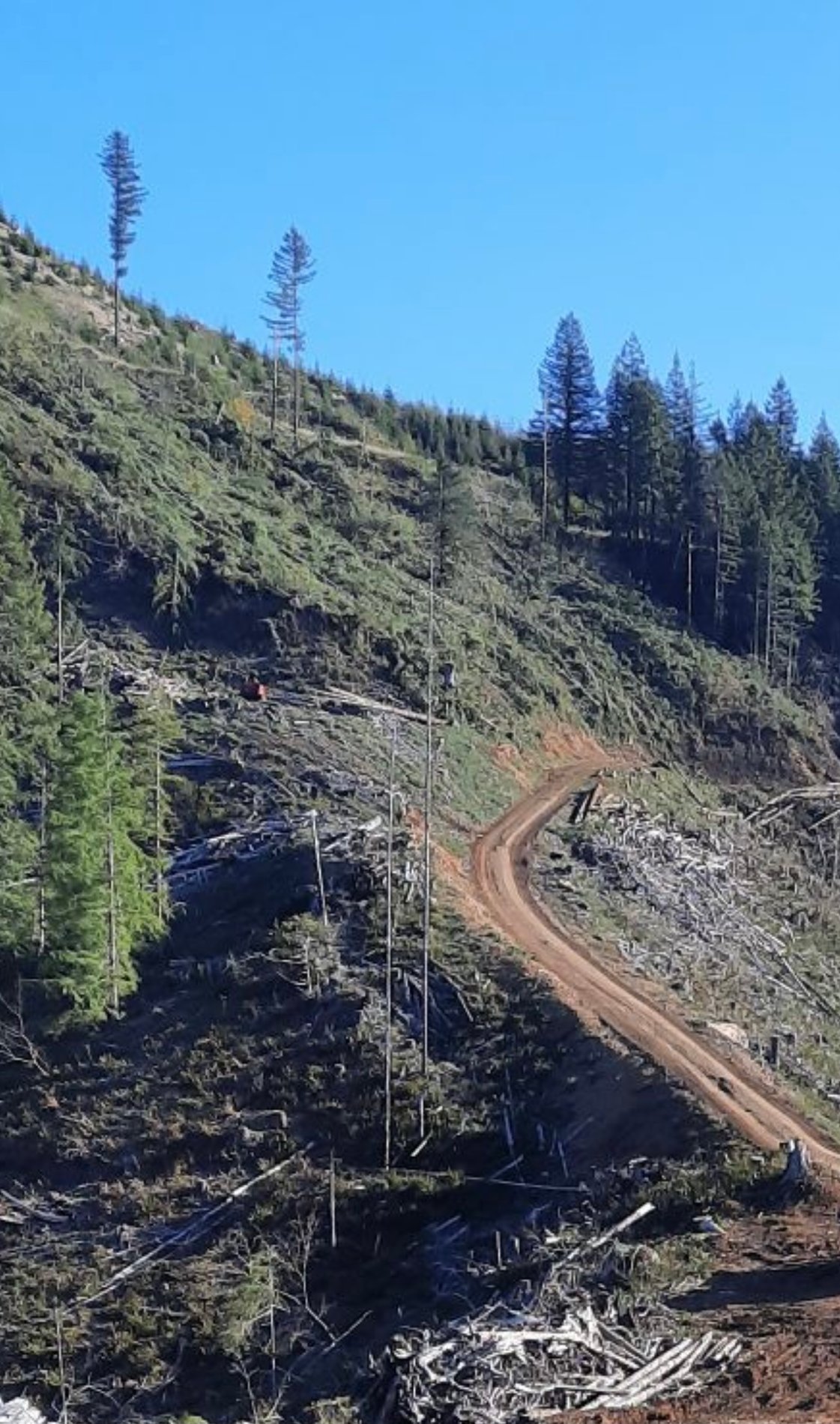 The road where many possibilities can happen.