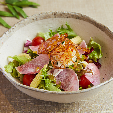 8種類の野菜天菜サラダ