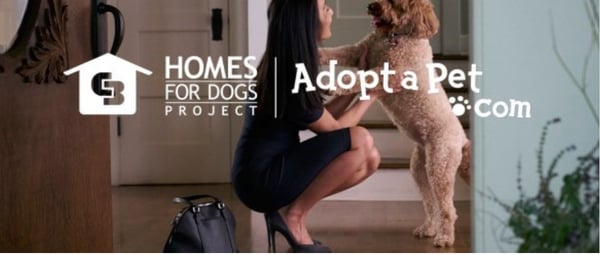 Home for Dog's Project by Coldwell Banker Legacy of New Mexico.