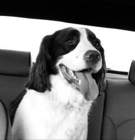 Photo of agent