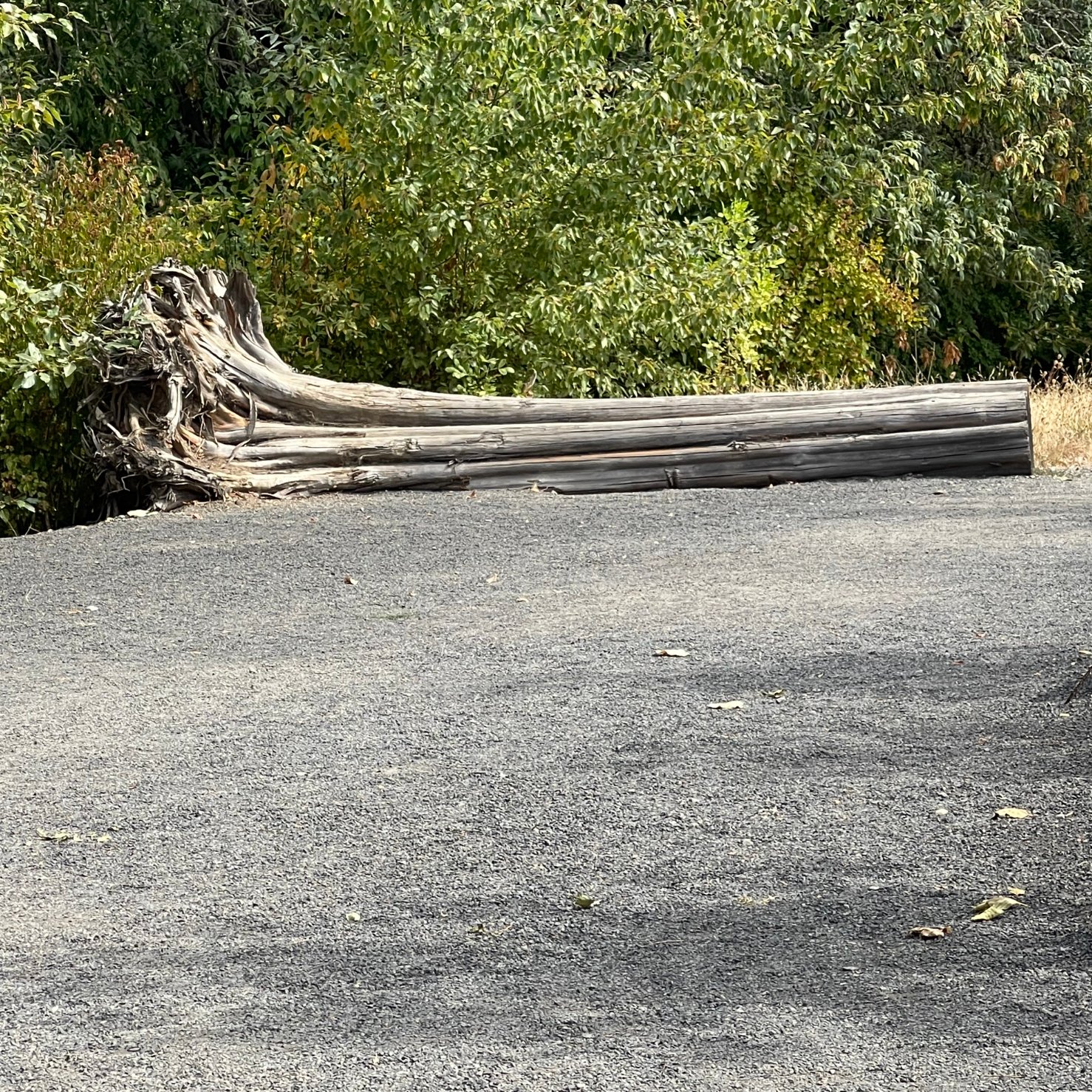 We can give you the boost you need to get over any hurdles that may come your way.