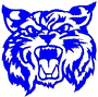 Brethren High School Baseball Team