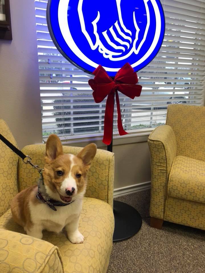 We love our fur visitors too!