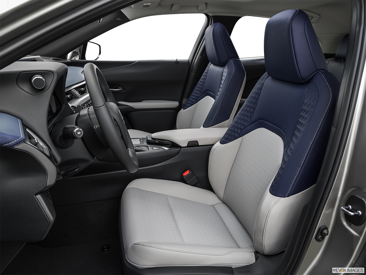 Image of Vehicle Trim