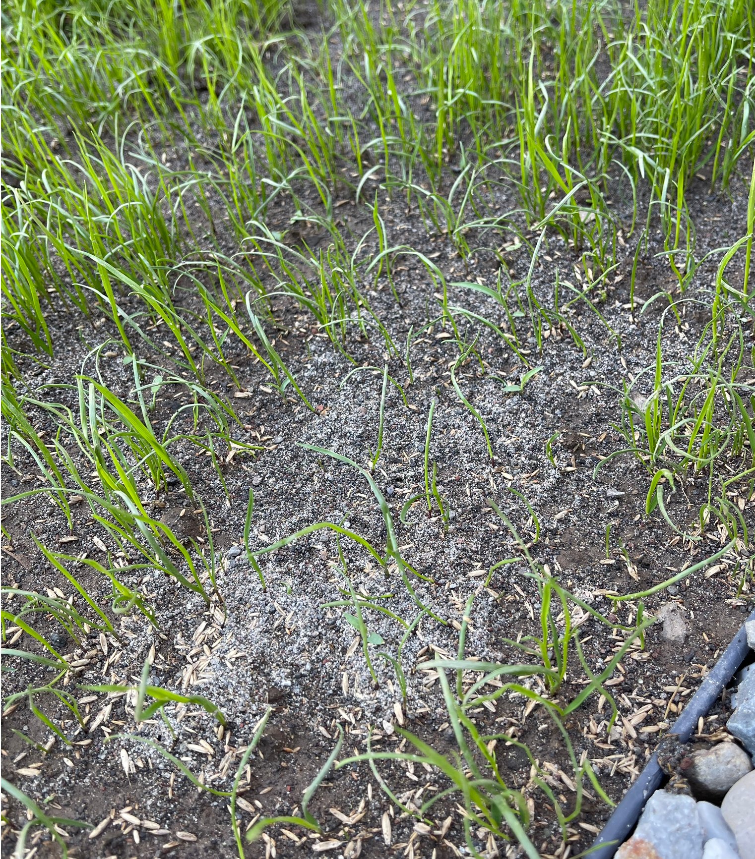When there are sparse areas in your insurance, we are here to help you fill in the gaps.