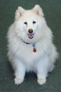 Photo of Shinju
