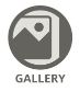 Gallery Gallery