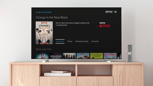 Netflix on a TV