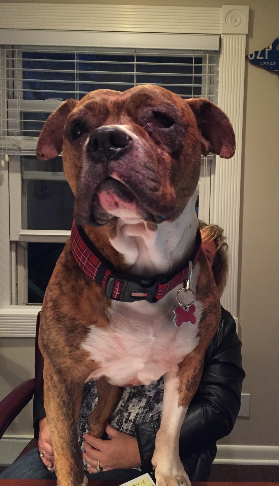 R.I.P. Buddy
