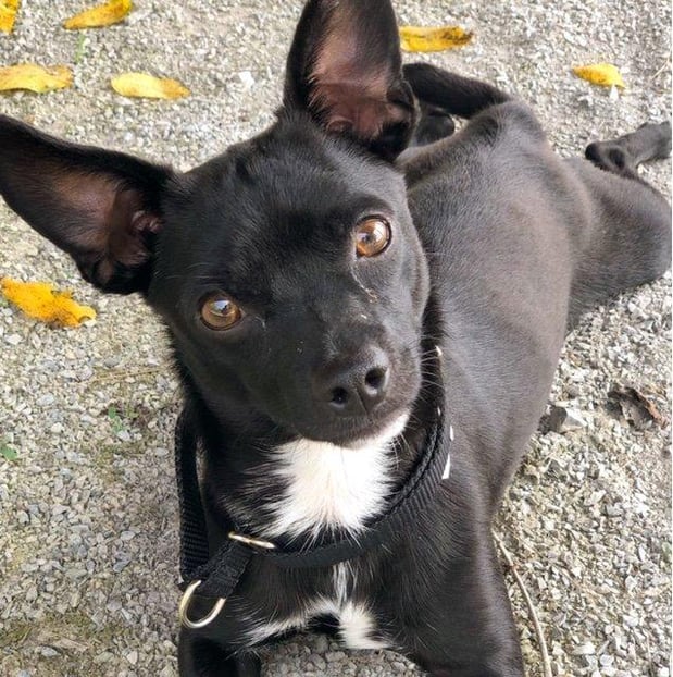 Photo of agent