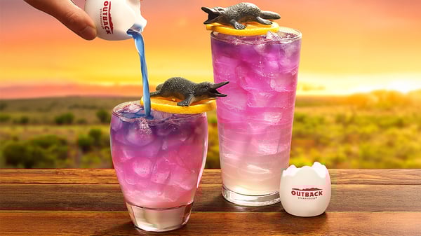 Platypus Punch and Puggle Splash