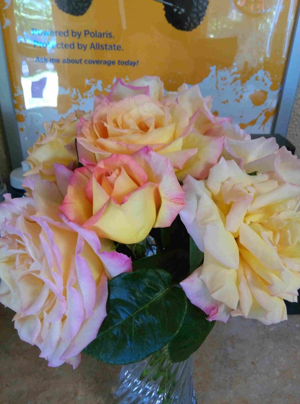 Photo gallery image