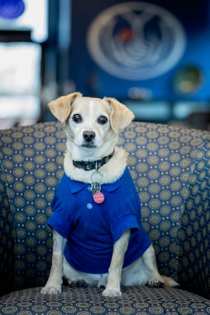 Photo of agent