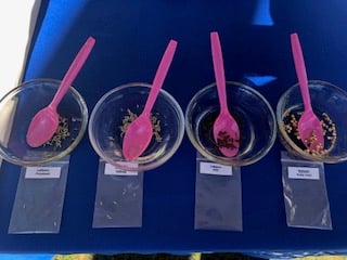 Imagen de galería de fotos