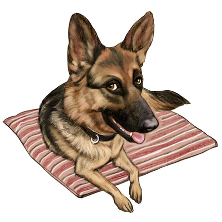 Photo of agent