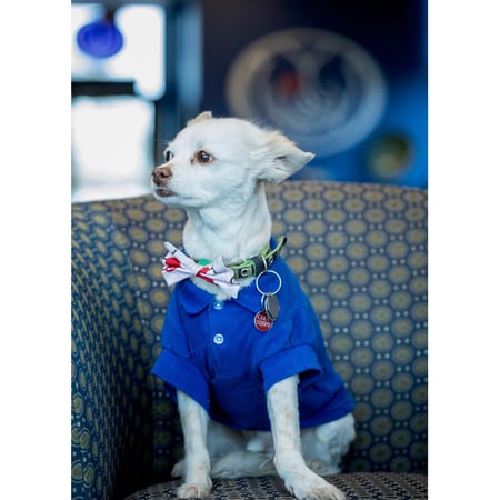 Photo of agent