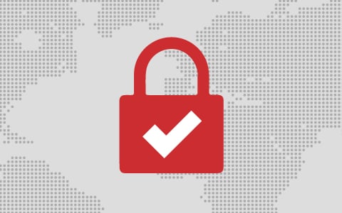 A graphic of the outline of the globe with a closed lock and checkmark