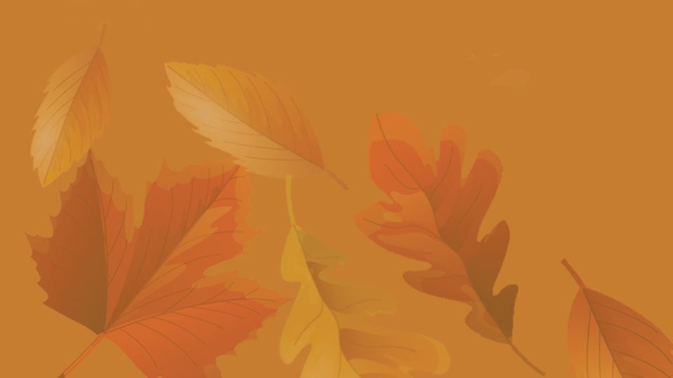 Fall leaves on an orange-brown background