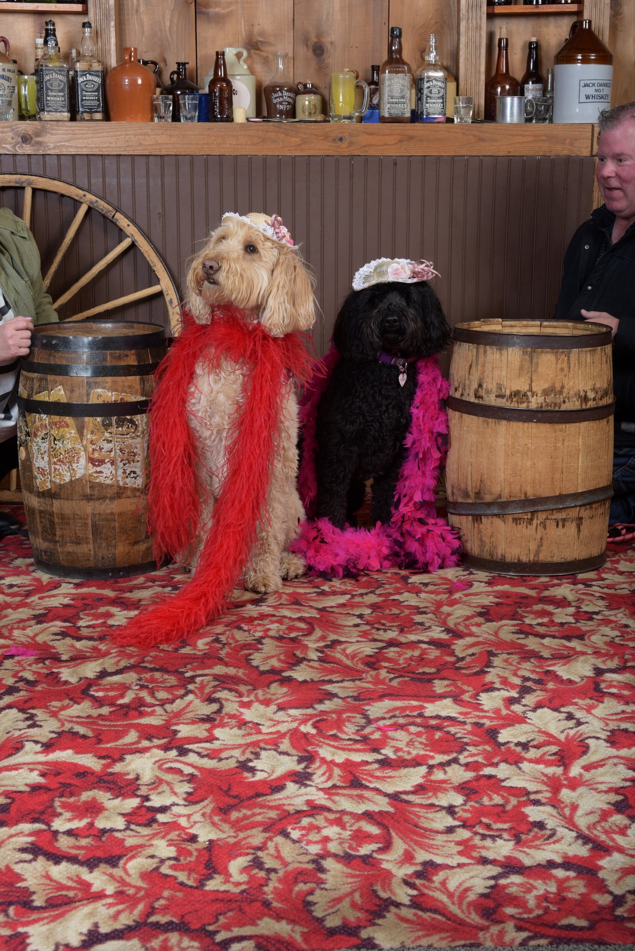 Stella & Paisley, Our Directors of FUN!