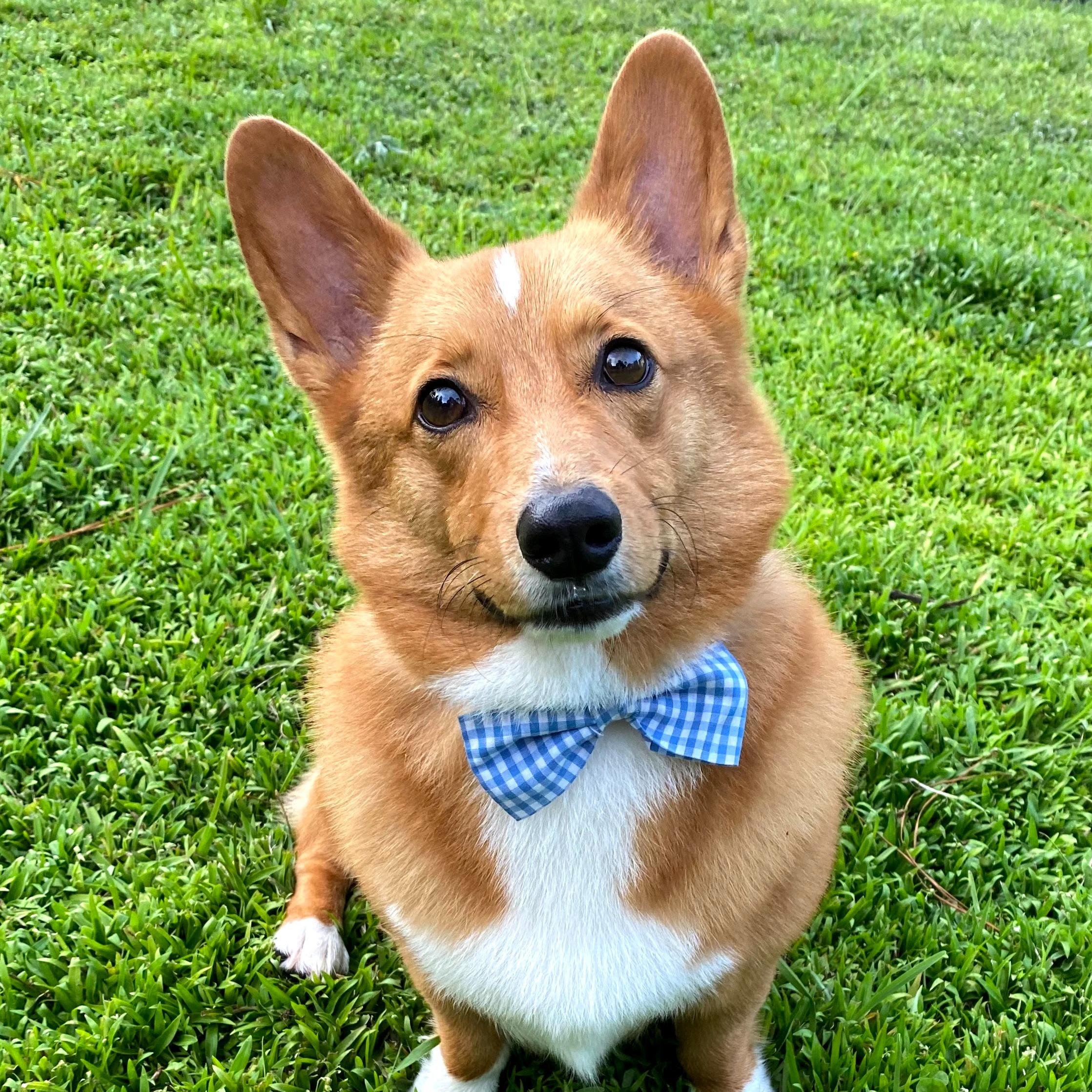 Photo of Winston